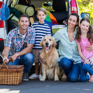 family packed for a road trip