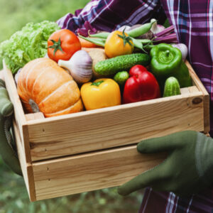 farmer holding box of fresh produce