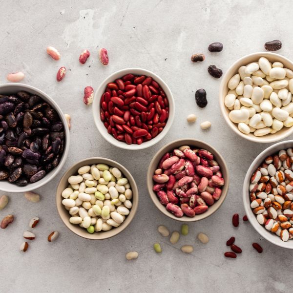 different types of beans