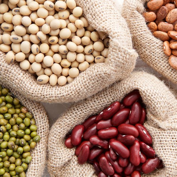 assortment of beans and lentils